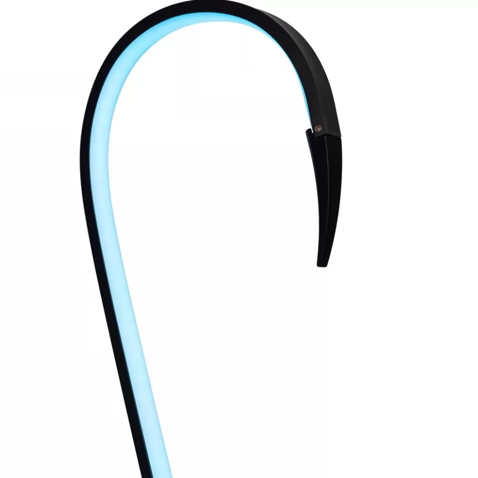Vloerlampen | Tienerkamerlampen>Straluma Zwarte vloerlamp flamingo met LED RGB multicolor
